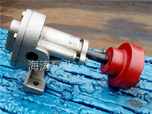 泊頭海濤泵業巧克力泵-微型巧克力泵