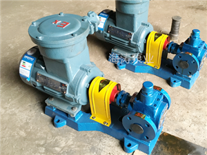 泊頭海濤泵業YCB齒輪泵-圓弧齒輪泵-YCB系列圓弧齒輪泵