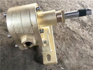 泊頭海濤泵業銅膠泵-銅膠水泵