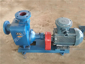 泊頭海濤泵業自吸離心泵-CYZ自吸式離心泵