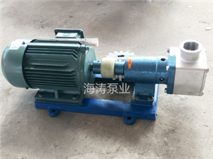 泊頭海濤泵業柔性轉子泵-RZB柔性轉子泵