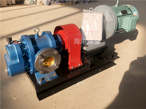泊頭海濤泵業LC高粘度羅茨泵-高粘度羅茨泵