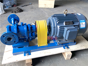 泊頭海濤泵業LZB轉子泵-LZB螺旋轉子泵