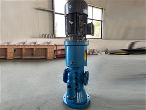 泊頭海濤泵業SNS立式三螺桿泵
