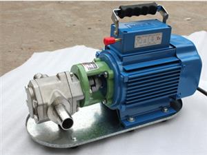 泊頭海濤泵業WCB不銹鋼齒輪泵