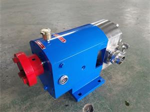 泊頭海濤泵業3rp凸輪轉子泵