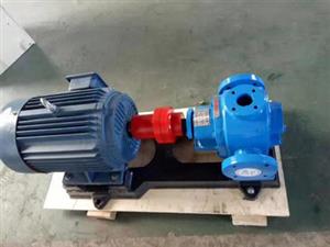 泊頭海濤泵業高溫齒輪泵-保溫不銹鋼齒輪泵