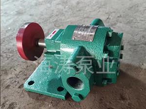 泊頭海濤泵業WKCB55外潤滑齒輪泵-外潤滑齒輪油泵-33