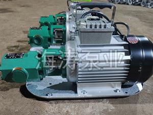 泊頭海濤泵業WCB手提式齒輪油泵