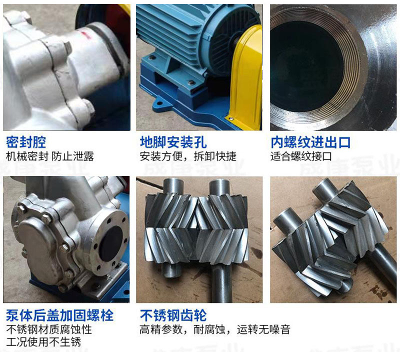 nyp高粘度轉子泵細節